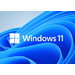 Windows 11 Installation auf nicht unterstützter Hardware und Cloud deaktivieren